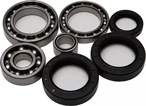 All Balls ATV Rear Differential Bearing and Seal Kit 25-2007