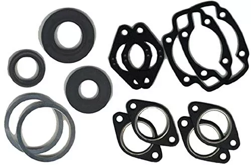 Vertex-Winderosa 711211 Gasket Kit with Oil Seals